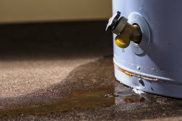 Best Flooded house restoration  in Franklin, TN