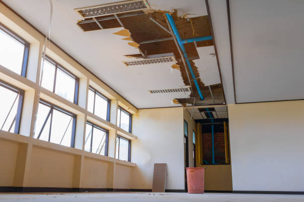 Best Water damage restoration near me  in Franklin, TN