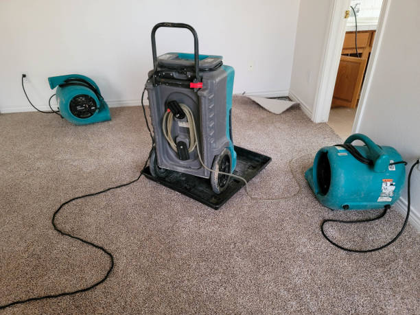 Best Water damage restoration specialists  in Franklin, TN