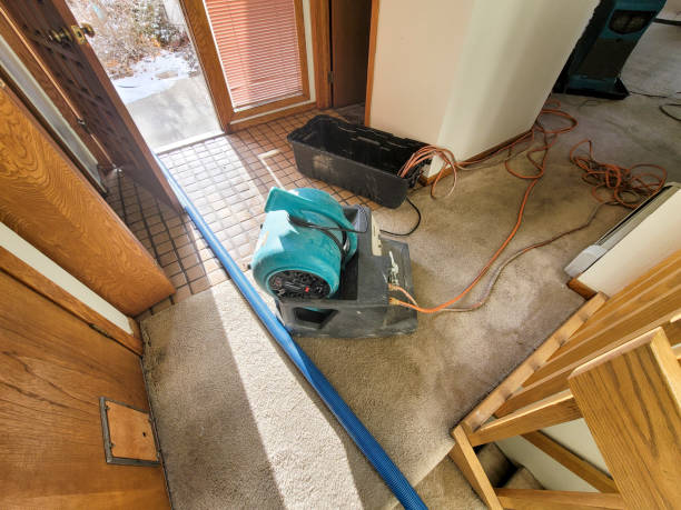 Best 24/7 water damage repair  in Franklin, TN