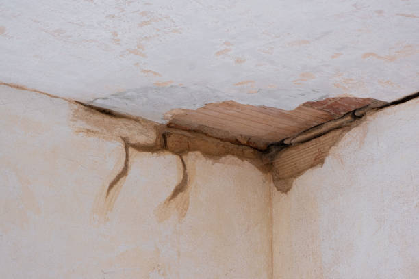 Best Water damage contractors near me  in Franklin, TN