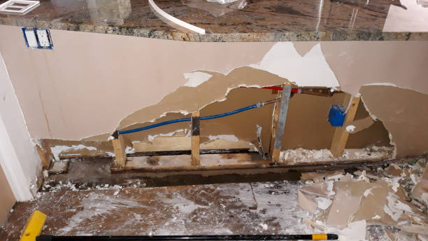Best Fire Damage Restoration  in Franklin, TN