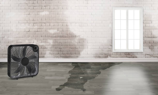 Best Commercial water damage restoration  in Franklin, TN