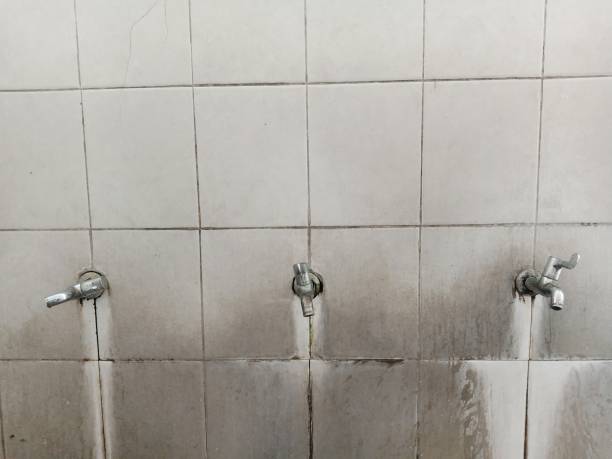 Best Water damage restoration company  in Franklin, TN