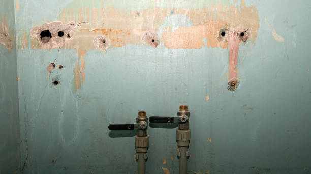 Best Local water damage restoration  in Franklin, TN