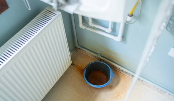 Best Sewage cleanup and water damage restoration  in Franklin, TN