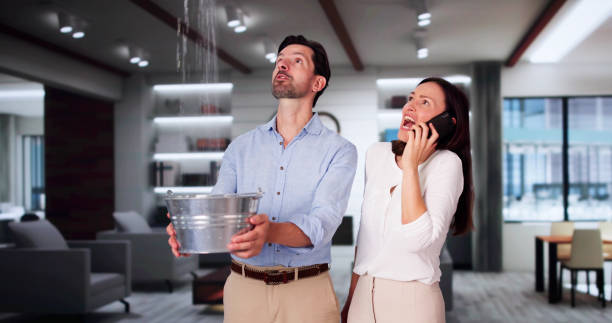 Best Water damage restoration cost  in Franklin, TN