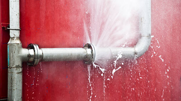 Best Mold removal after water damage  in Franklin, TN